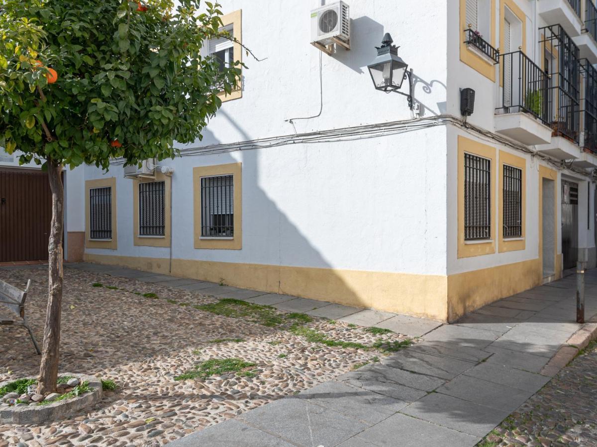 Nayber Gavia - Nuevo Y Centrico Apartamento En Córdoba Eksteriør billede